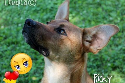 Ricky